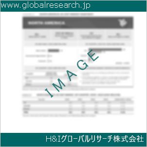 グローバルリサーチ調査資料のイメージ